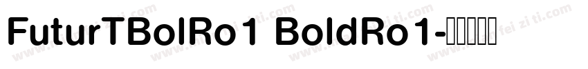 FuturTBolRo1 BoldRo1字体转换